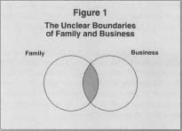 Figure 1 The Unclear Boundaries of Family and Business