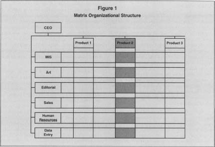 Figure 1 Matrix Organizational Structure