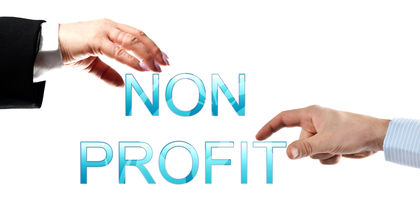 Nonprofit Organizations 364