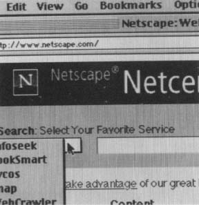 Netscape was purchased by AOL in March 1999. Reproduced by permission of Field Mark Publications.