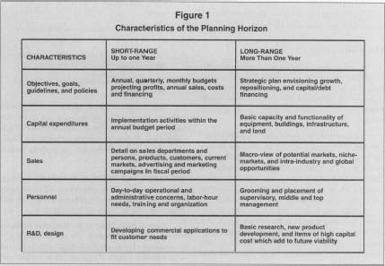 Figure 1 Characteristics of the Planning Horizon