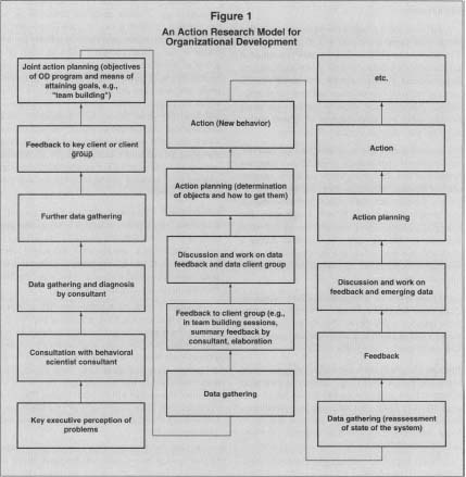 Figure 1 An Action Research Model for Organizational Development