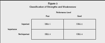 Figure 3 Classification of Strengths and Weaknesses