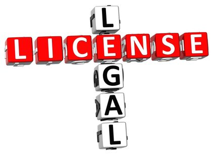 Licensing And Licensing Agreements 392