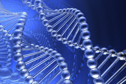 Structural Genomics Software Provider 424